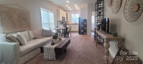 132 Connestee Road Brevard NC 28712