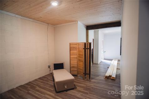 132 Connestee Road Brevard NC 28712