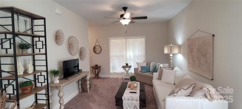 132 Connestee Road Brevard NC 28712