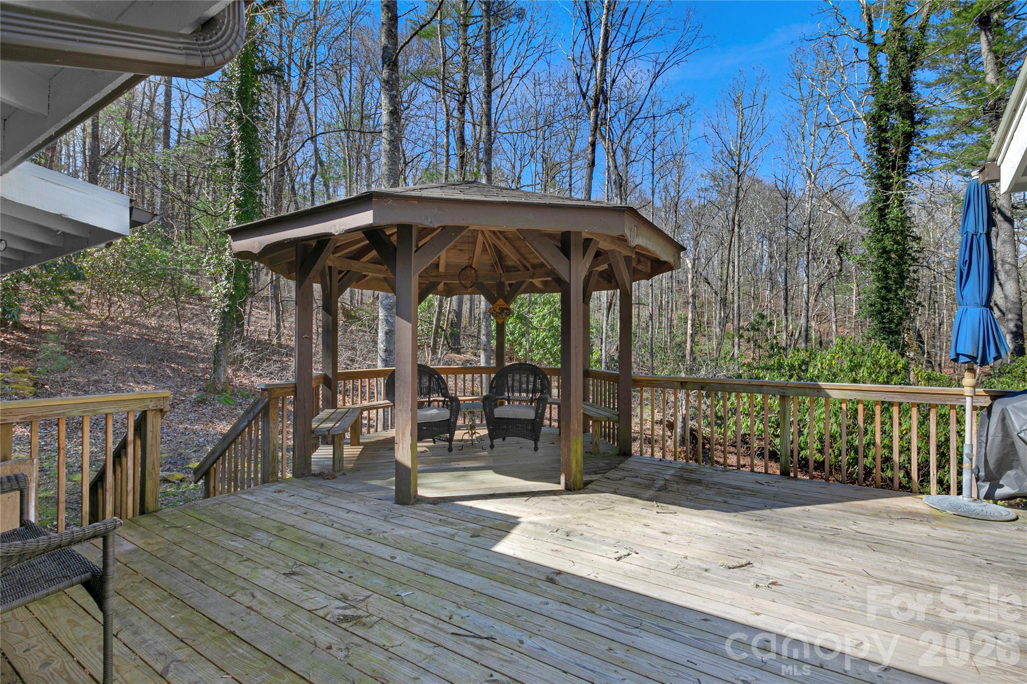 231 Cedar Lane Brevard NC 28712
