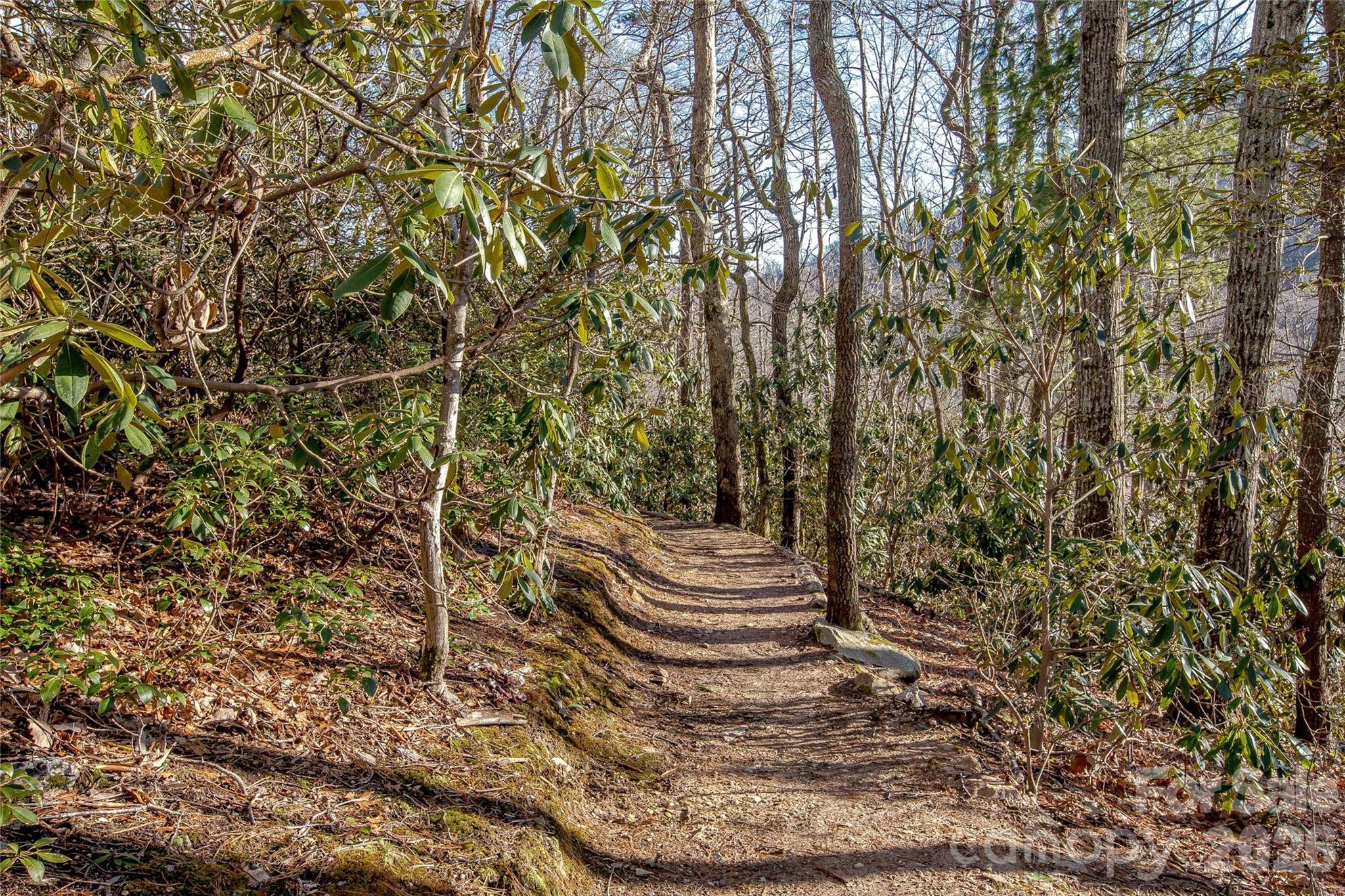 30 Stills Creek Loop Fairview NC 28730