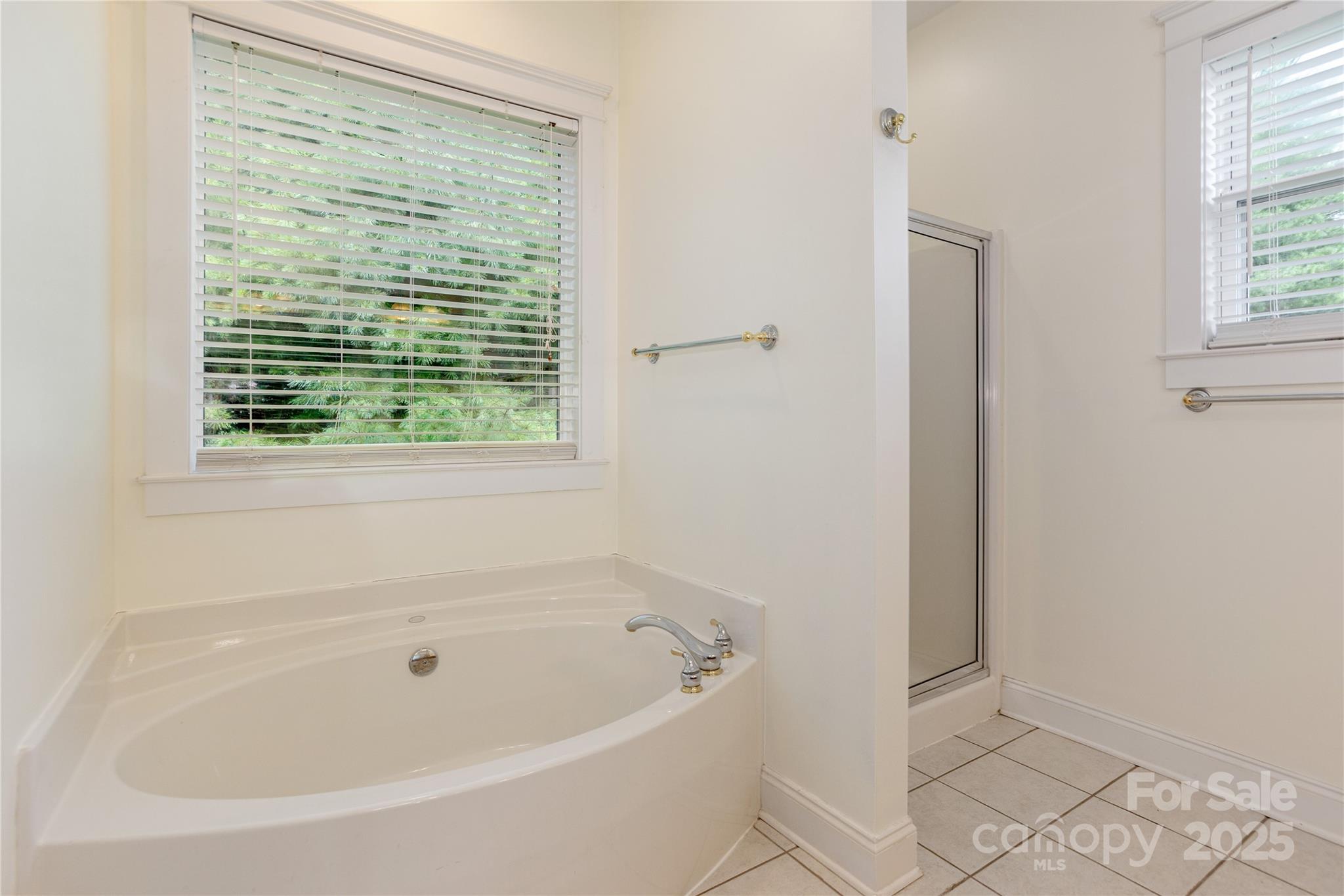 168 Carolina Bluebird Loop Arden NC 28704