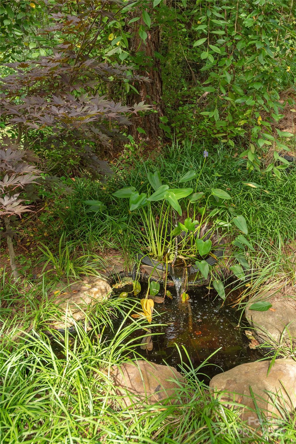 168 Carolina Bluebird Loop Arden NC 28704