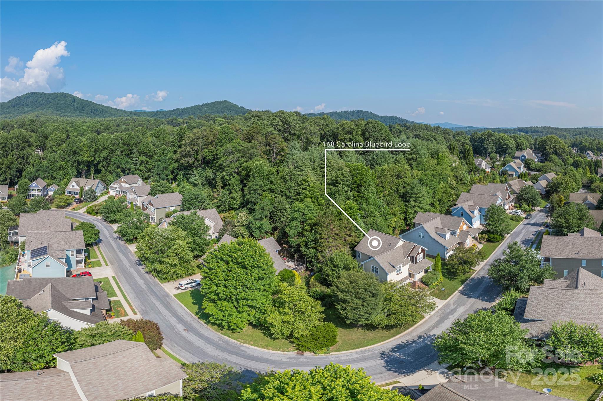 168 Carolina Bluebird Loop Arden NC 28704