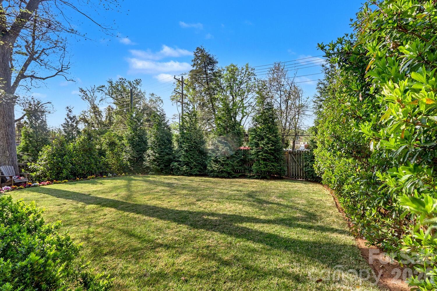 2317 Charlotte Drive Charlotte NC 28203
