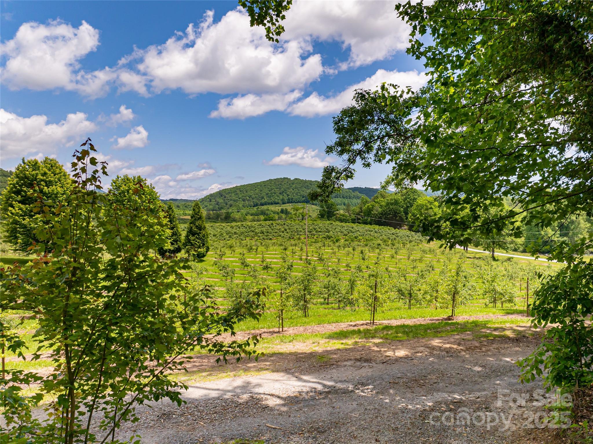 103 Blue Sky Lane Hendersonville NC 28792