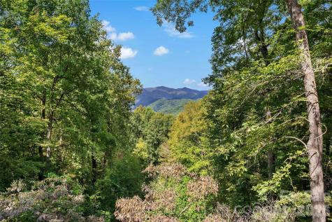 68 Lakey Gap Heights Black Mountain NC 28711