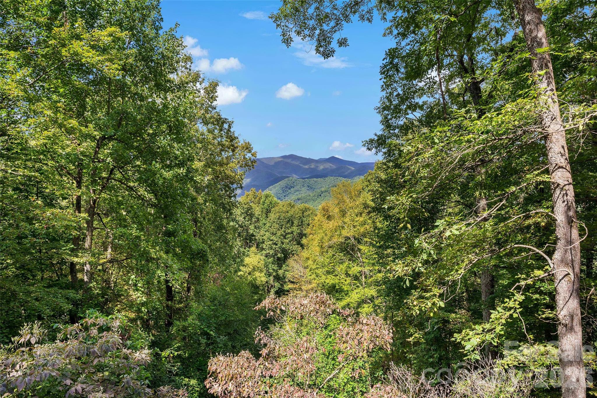 68 Lakey Gap Heights Black Mountain NC 28711
