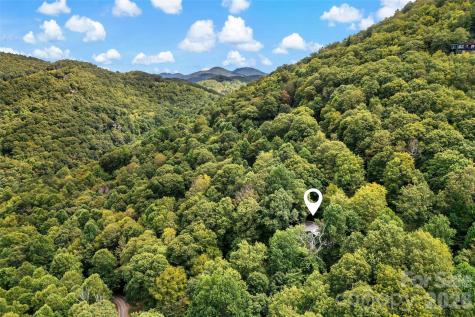 68 Lakey Gap Heights Black Mountain NC 28711