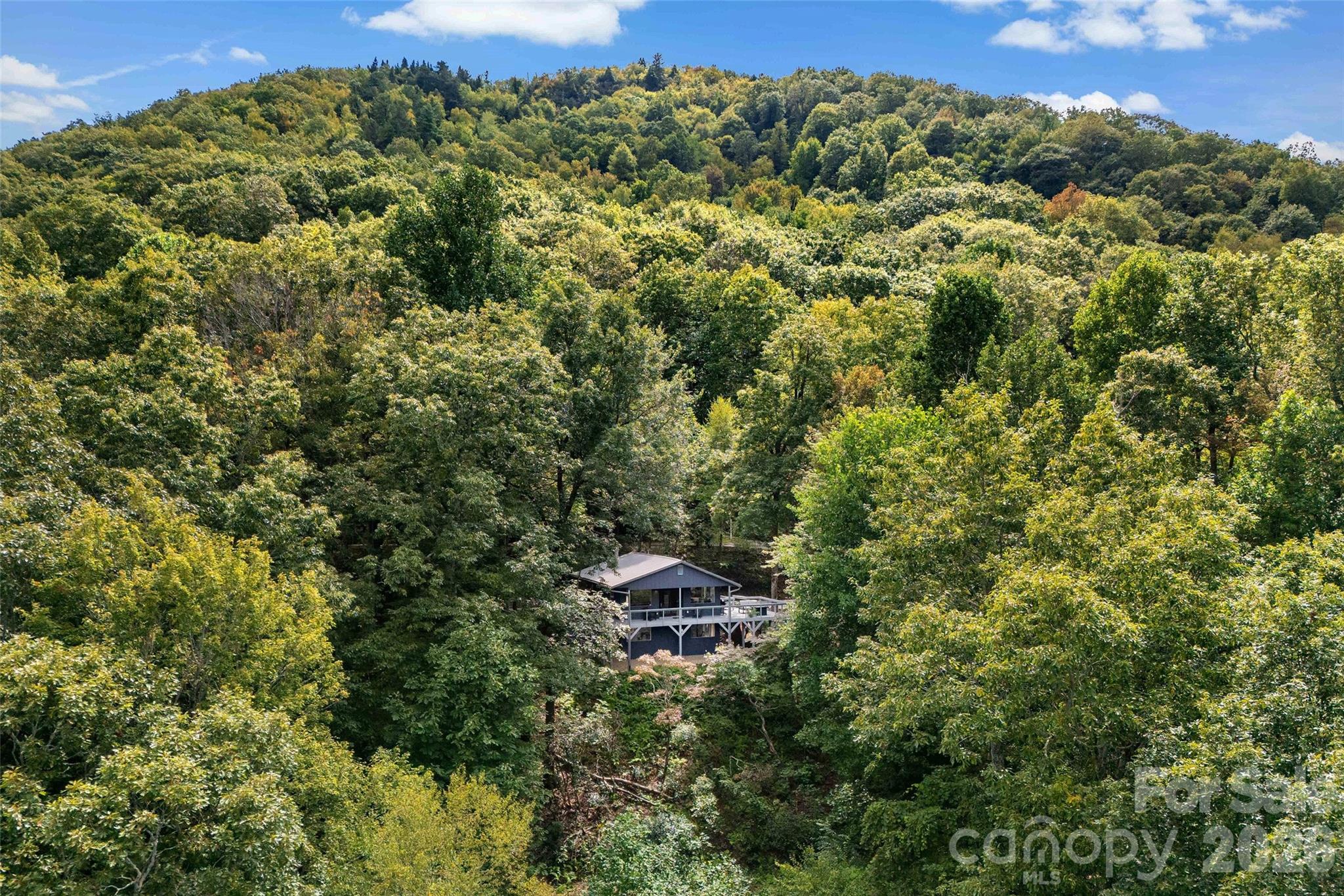 68 Lakey Gap Heights Black Mountain NC 28711