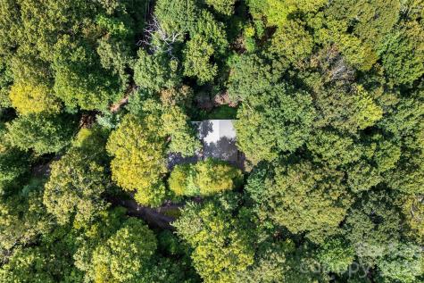 68 Lakey Gap Heights Black Mountain NC 28711