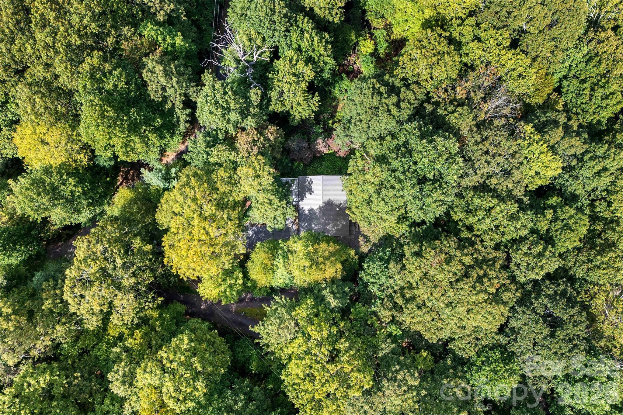 68 Lakey Gap Heights Black Mountain NC 28711
