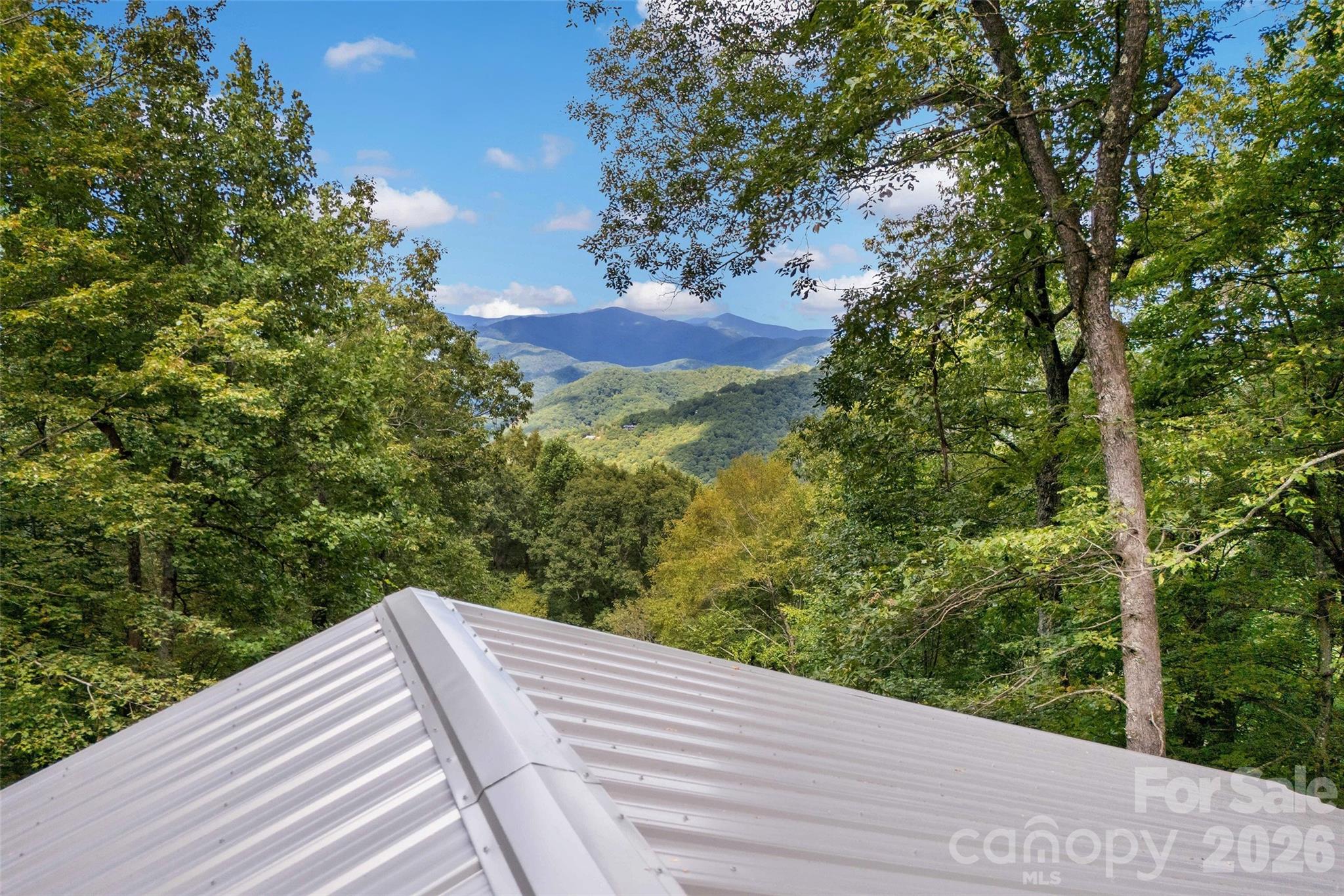 68 Lakey Gap Heights Black Mountain NC 28711