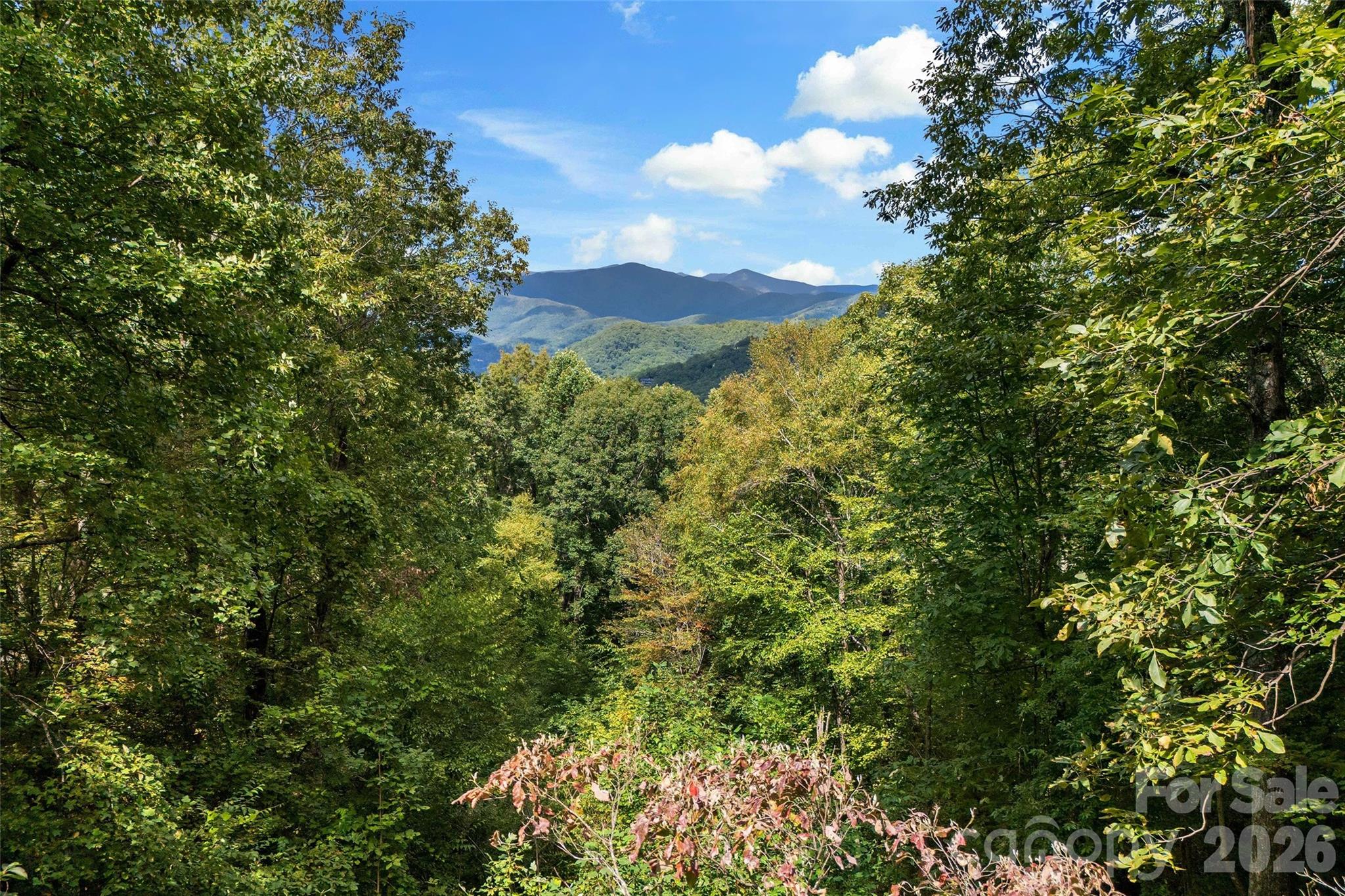 68 Lakey Gap Heights Black Mountain NC 28711