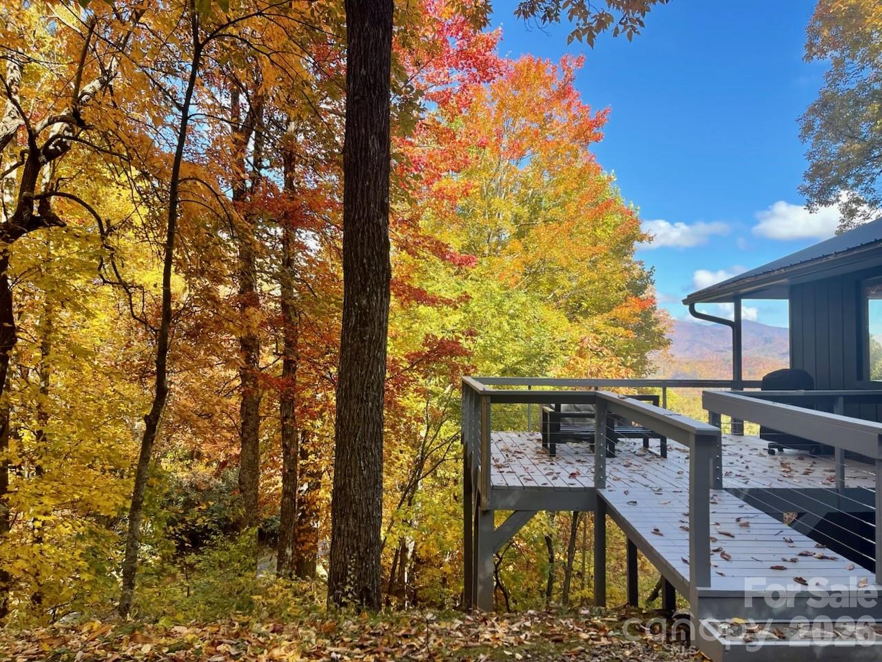 68 Lakey Gap Heights Black Mountain NC 28711