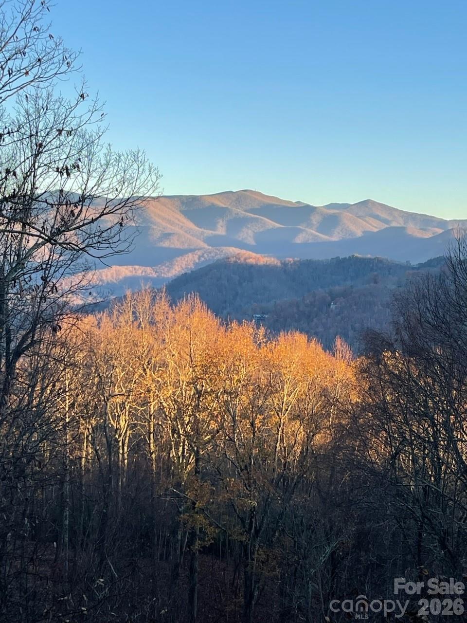 68 Lakey Gap Heights Black Mountain NC 28711