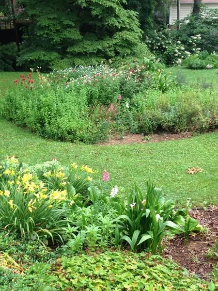 21 Lynwood Road Asheville NC 28804