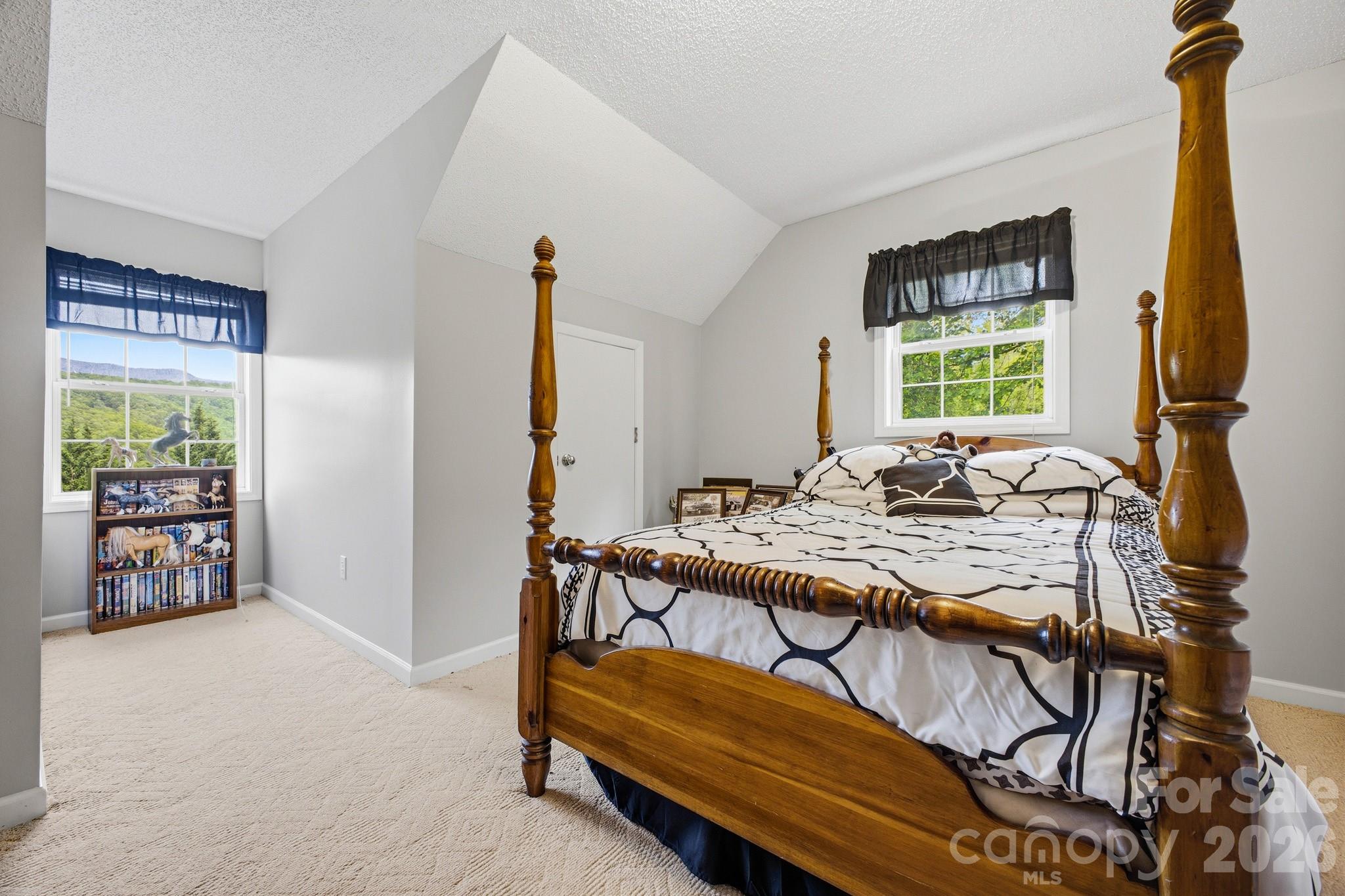 48 Open Range Drive Barnardsville NC 28709