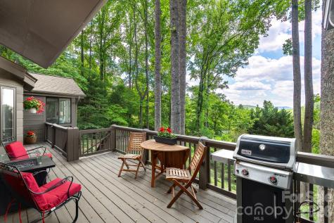 107 Buffalo Trail Asheville NC 28805