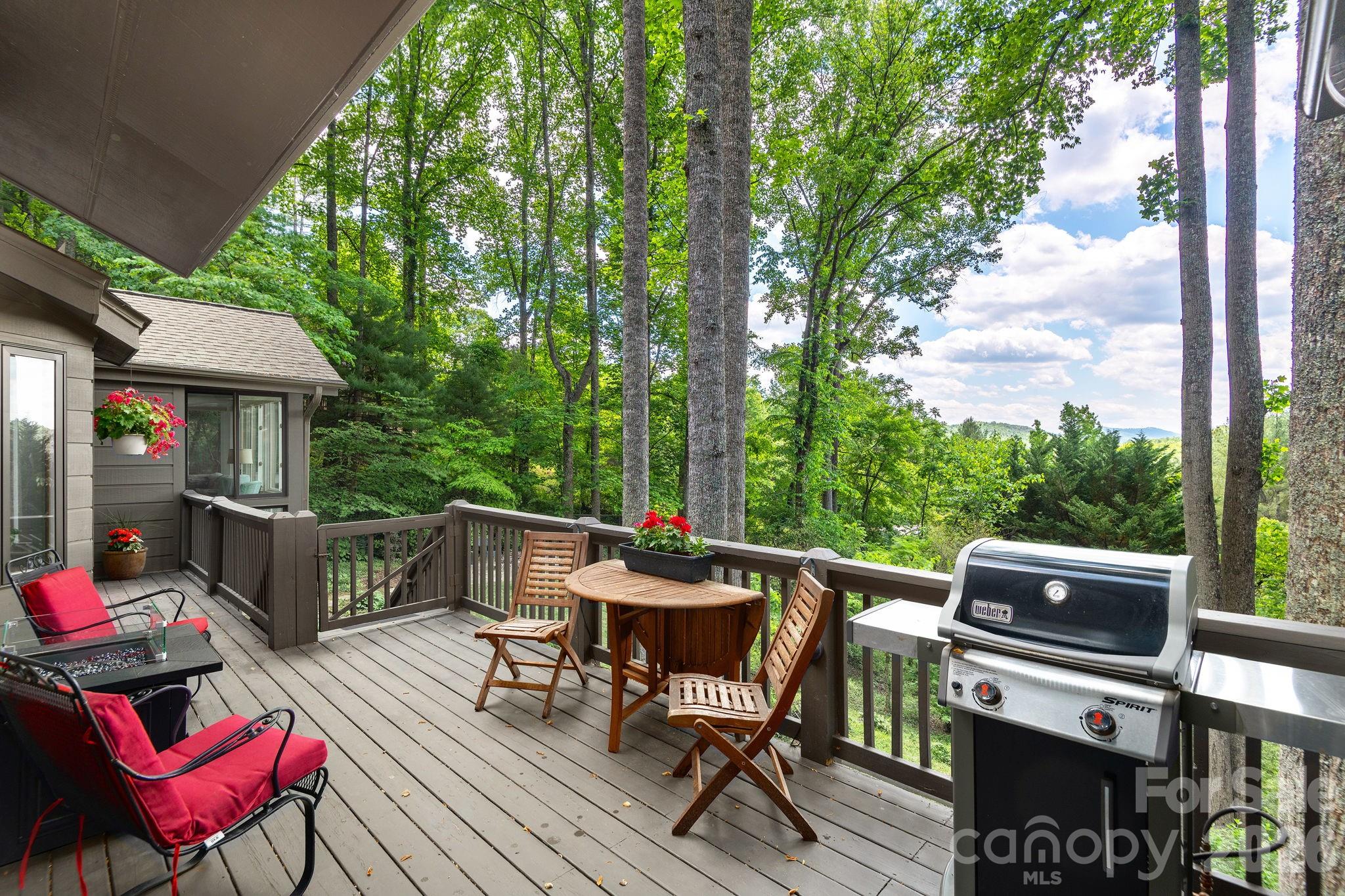 107 Buffalo Trail Asheville NC 28805