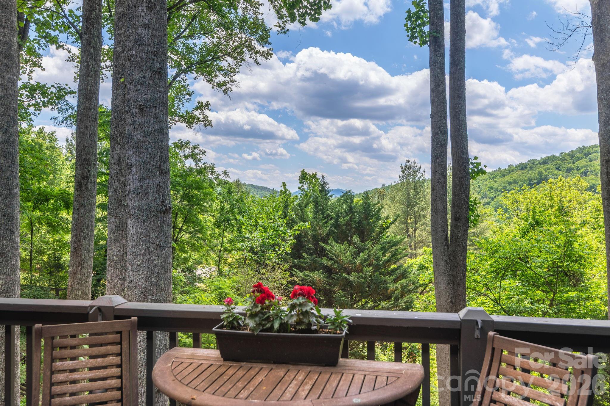 107 Buffalo Trail Asheville NC 28805