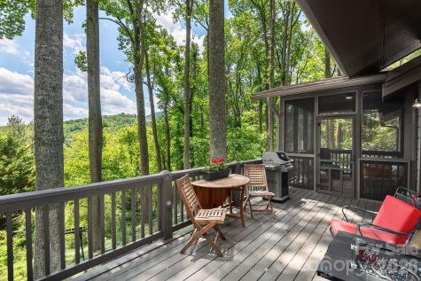 107 Buffalo Trail Asheville NC 28805