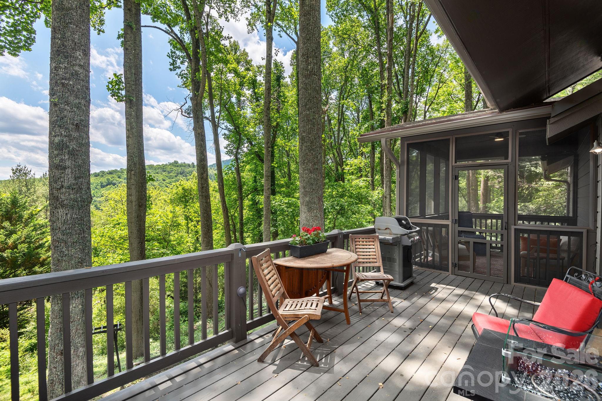 107 Buffalo Trail Asheville NC 28805