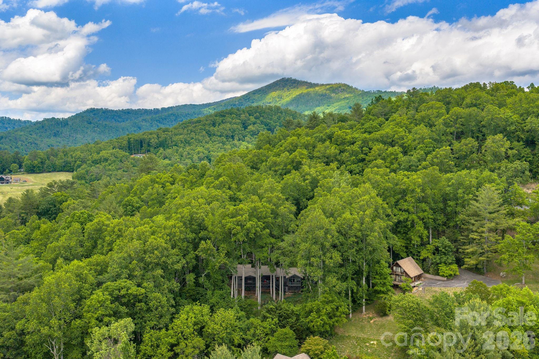107 Buffalo Trail Asheville NC 28805