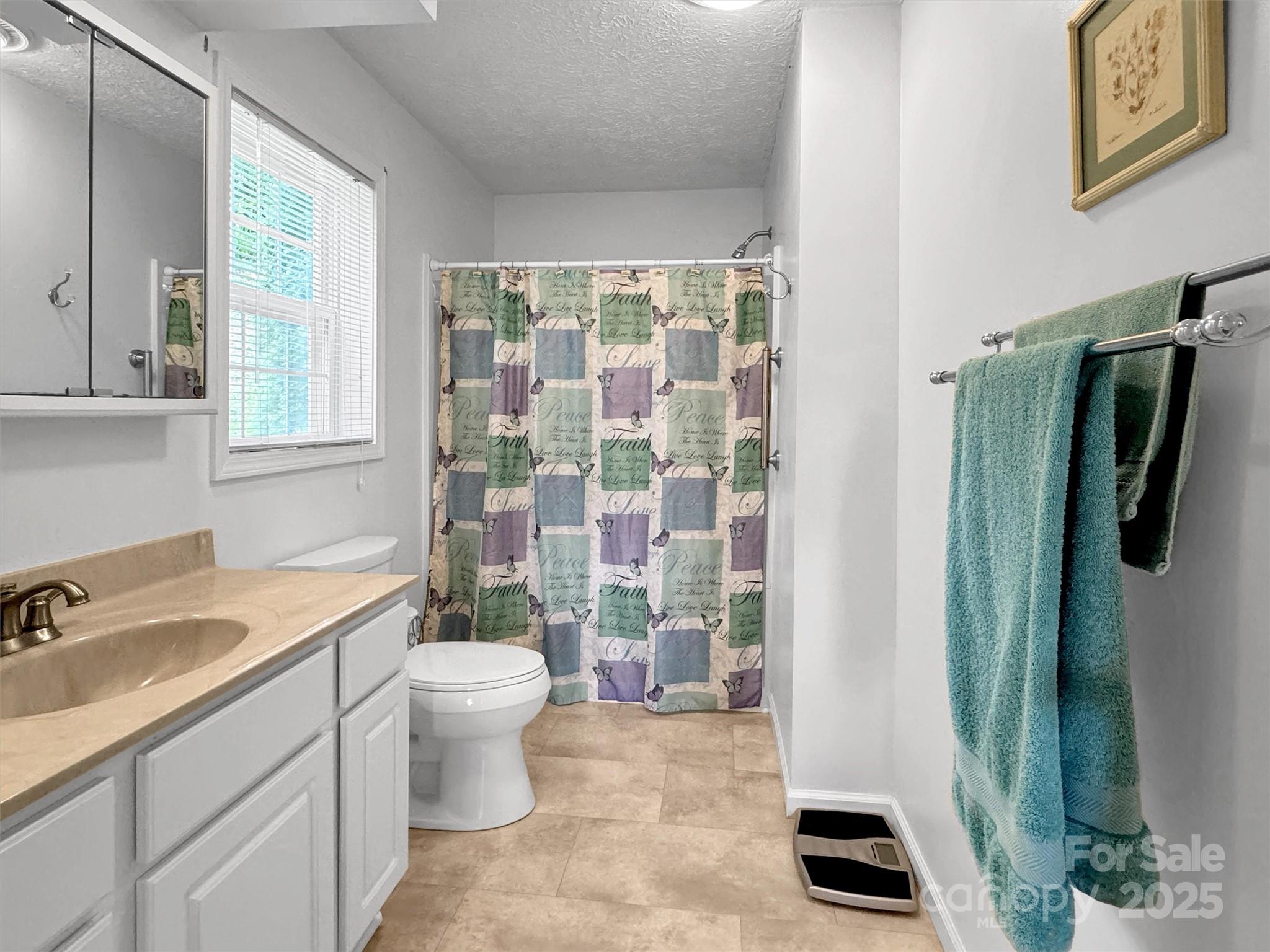 562 Beechwood Drive Sylva NC 28779