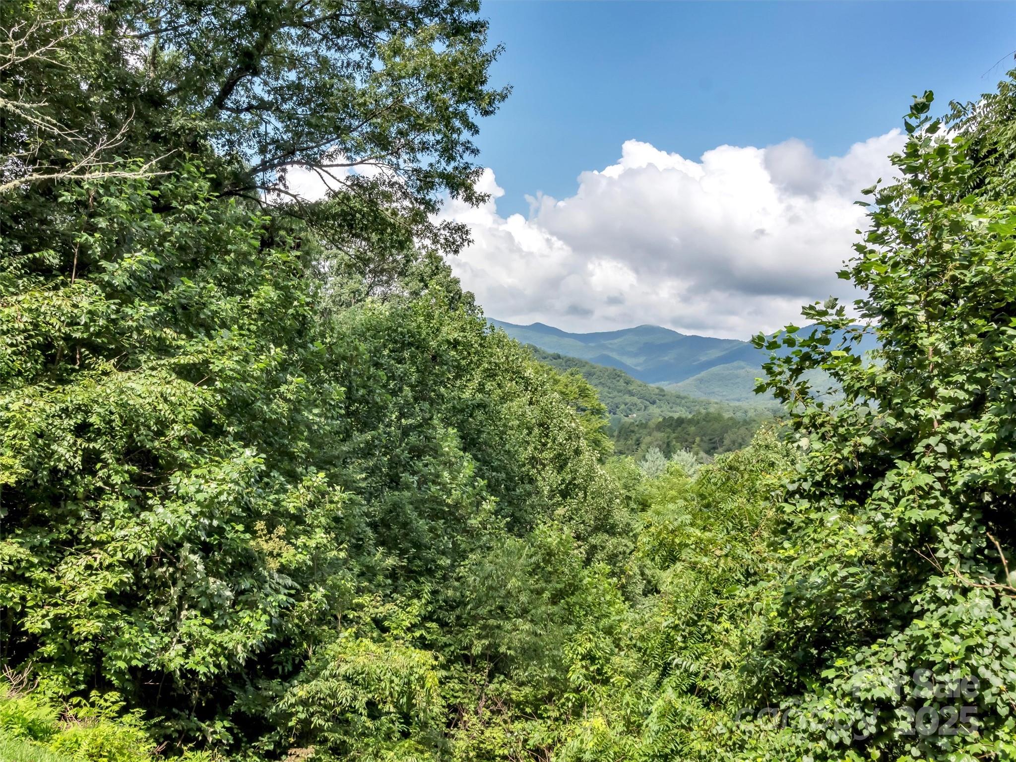 562 Beechwood Drive Sylva NC 28779