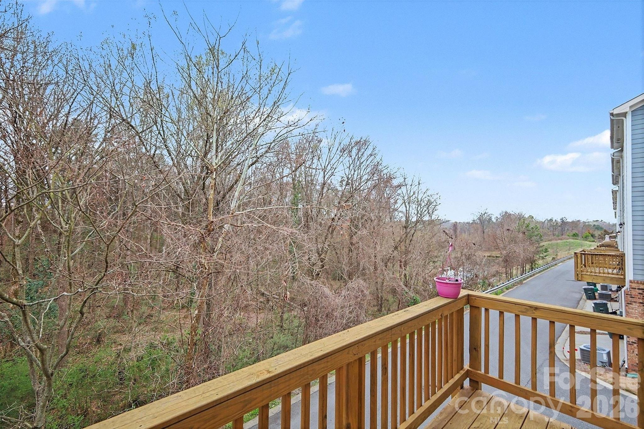 9524 Ainslie Downs Street Charlotte NC 28273