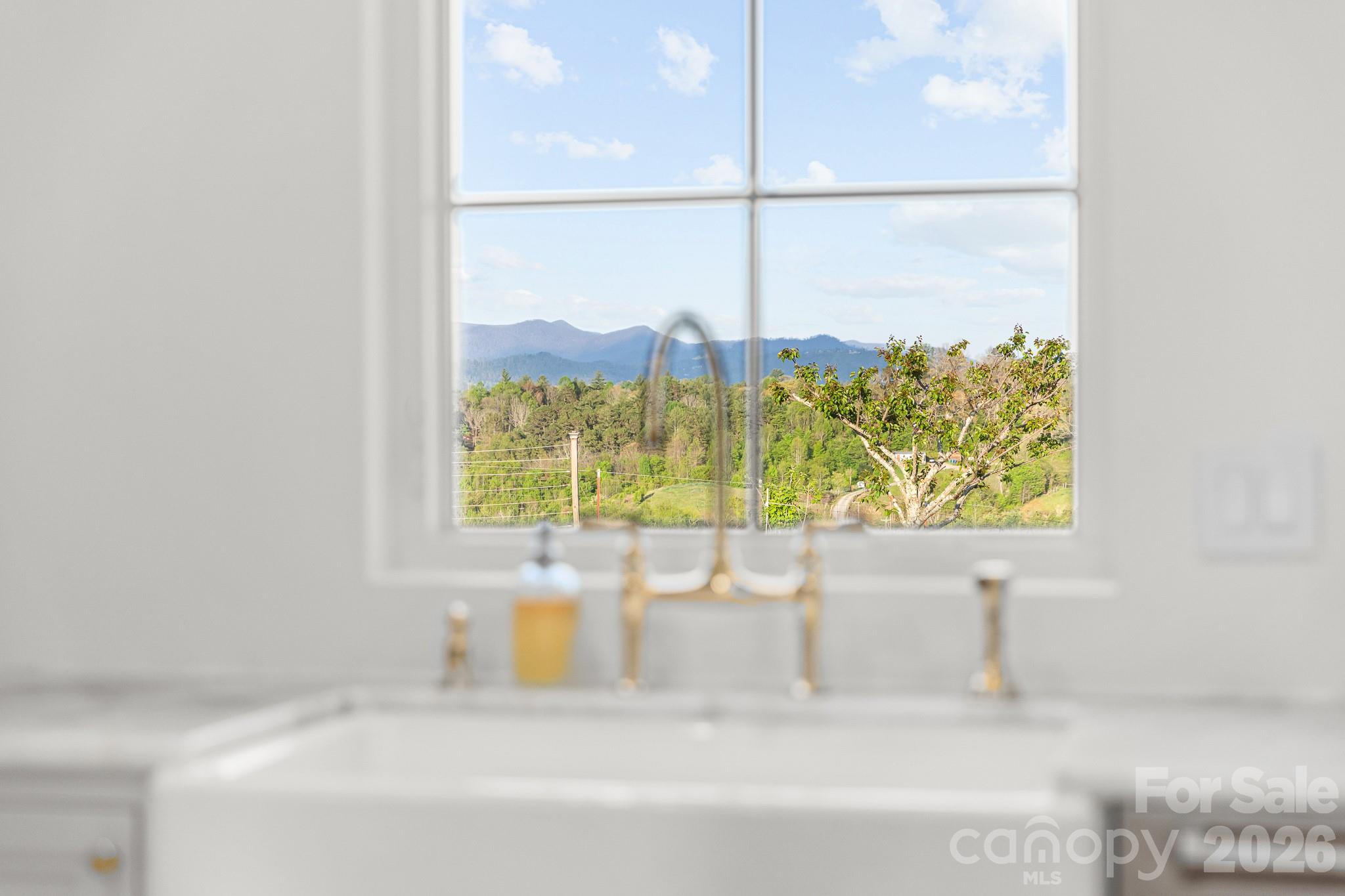 54 Mountain Shadows Drive Leicester NC 28748
