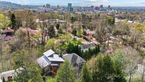 3 Von Ruck Terrace Asheville NC 28801