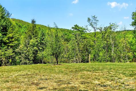 50 Glass Falls Trail Black Mountain NC 28711