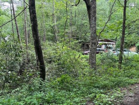 63 Apple Bee Road Brevard NC 28712