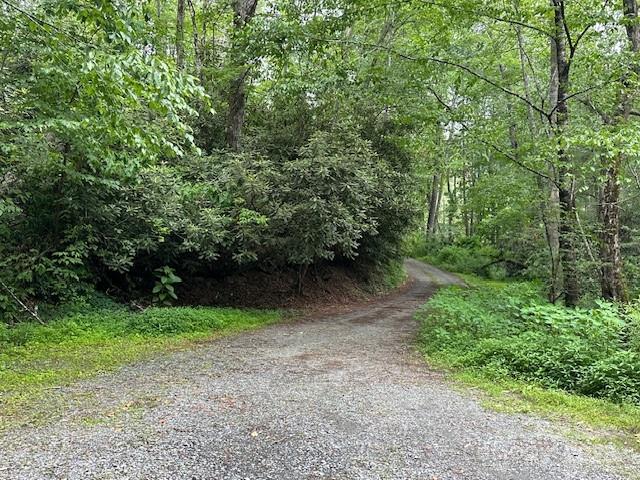 63 Apple Bee Road Brevard NC 28712
