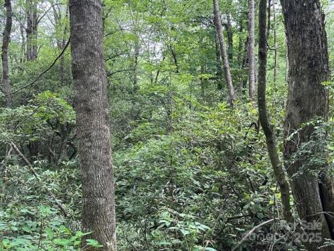 63 Apple Bee Road Brevard NC 28712