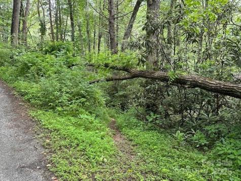 63 Apple Bee Road Brevard NC 28712