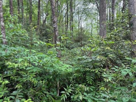 63 Apple Bee Road Brevard NC 28712