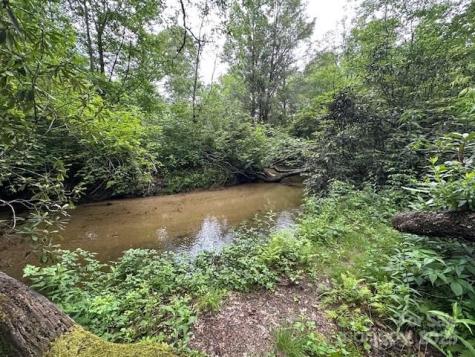 63 Apple Bee Road Brevard NC 28712