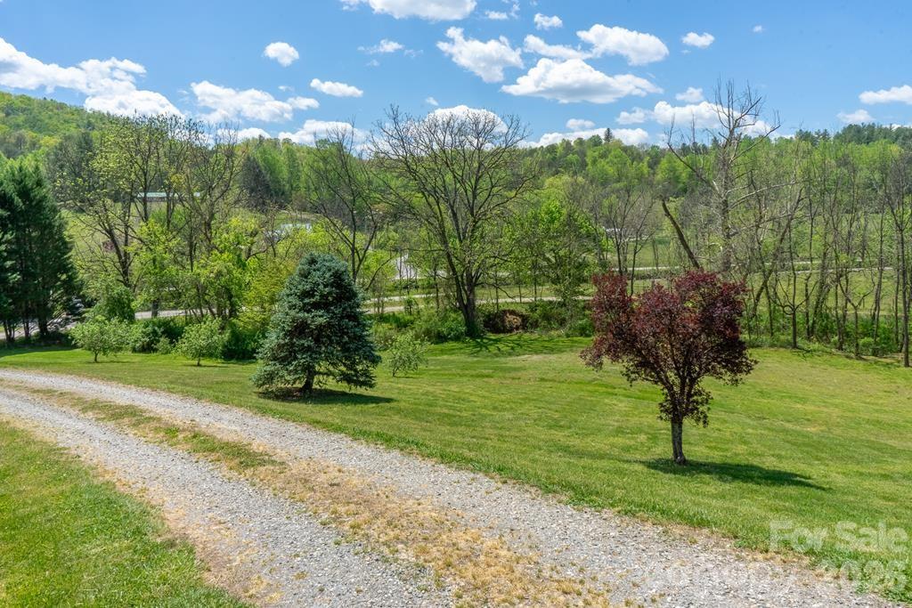 71 Bullfrog Cove Road Sylva NC 28779