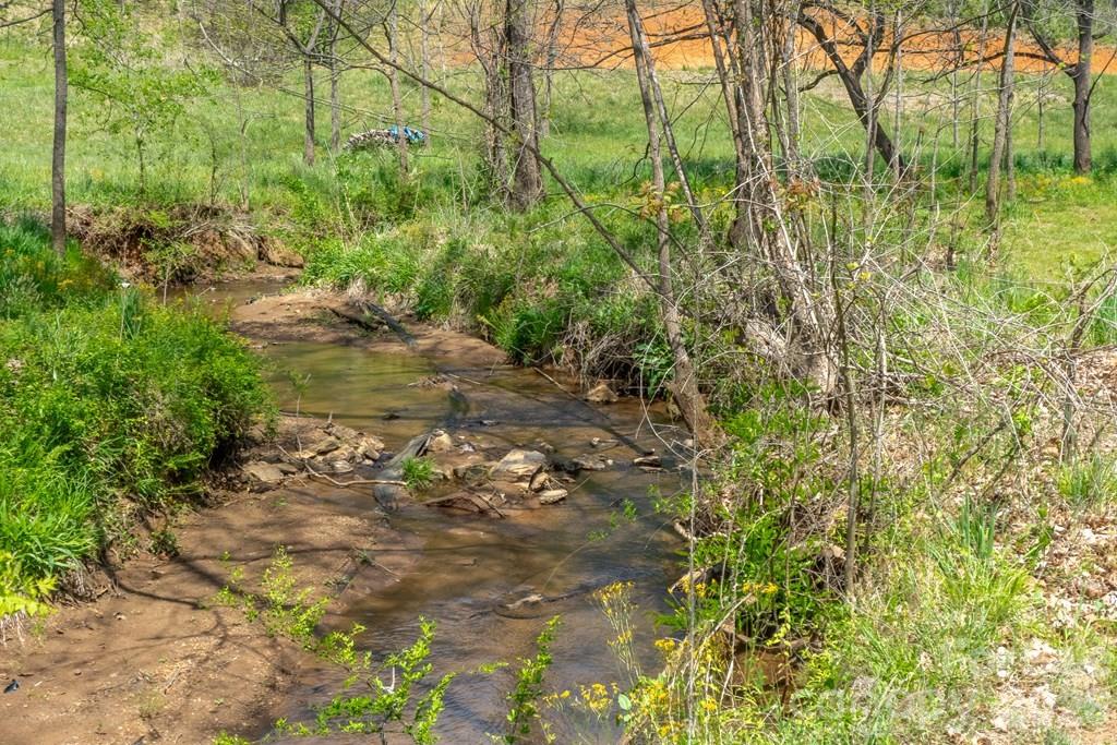 71 Bullfrog Cove Road Sylva NC 28779