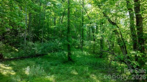 3355 Helton Hartley Place Lenoir NC 28645
