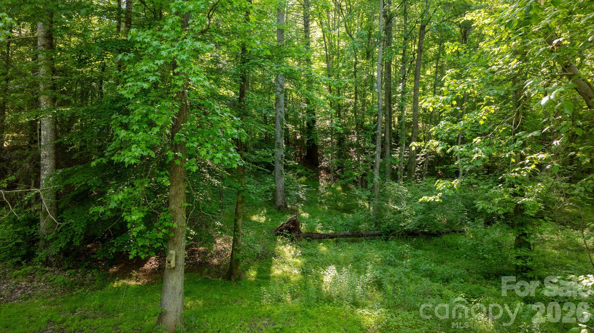 3355 Helton Hartley Place Lenoir NC 28645
