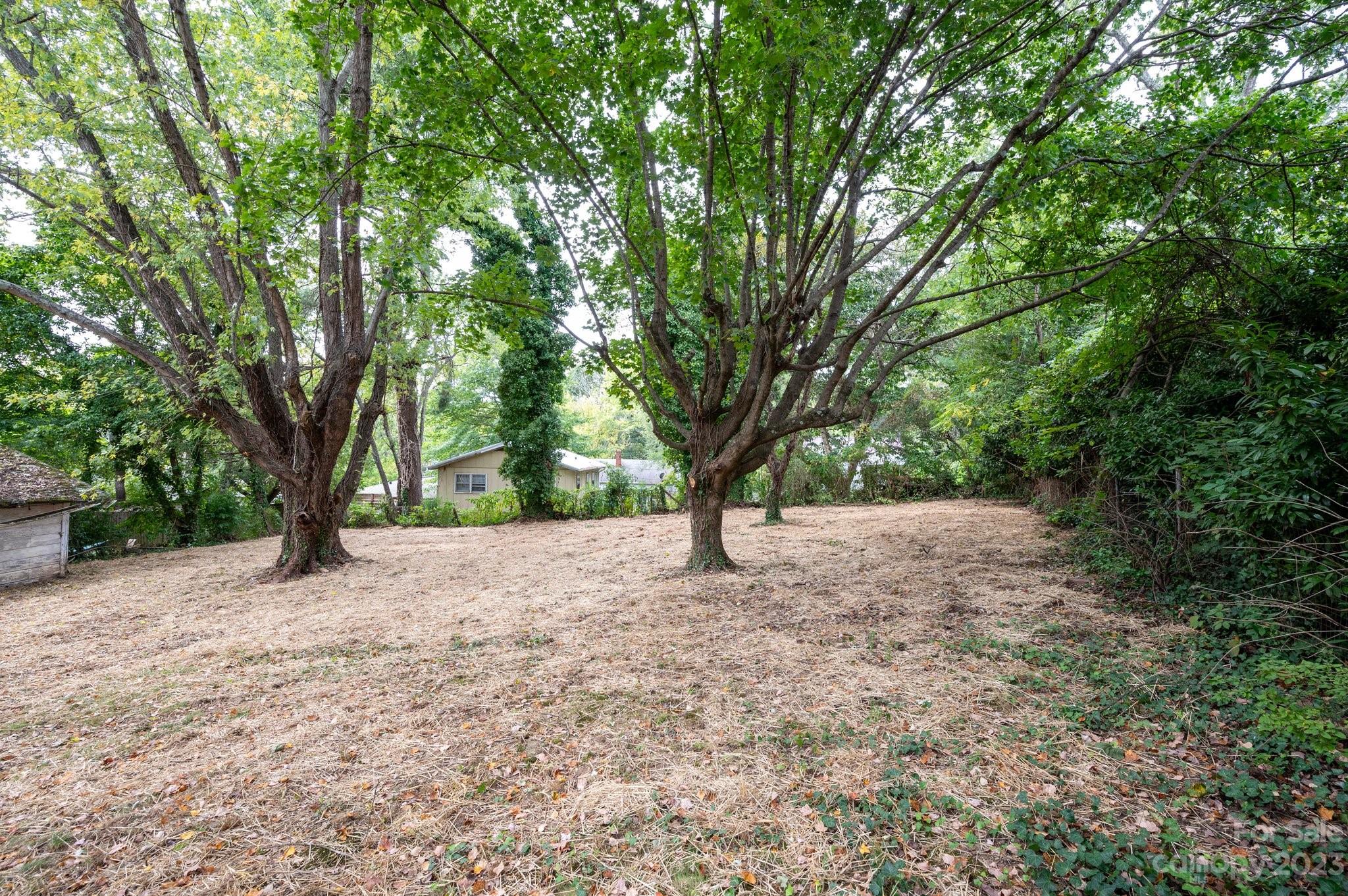 9 Covington Street Asheville NC 28806