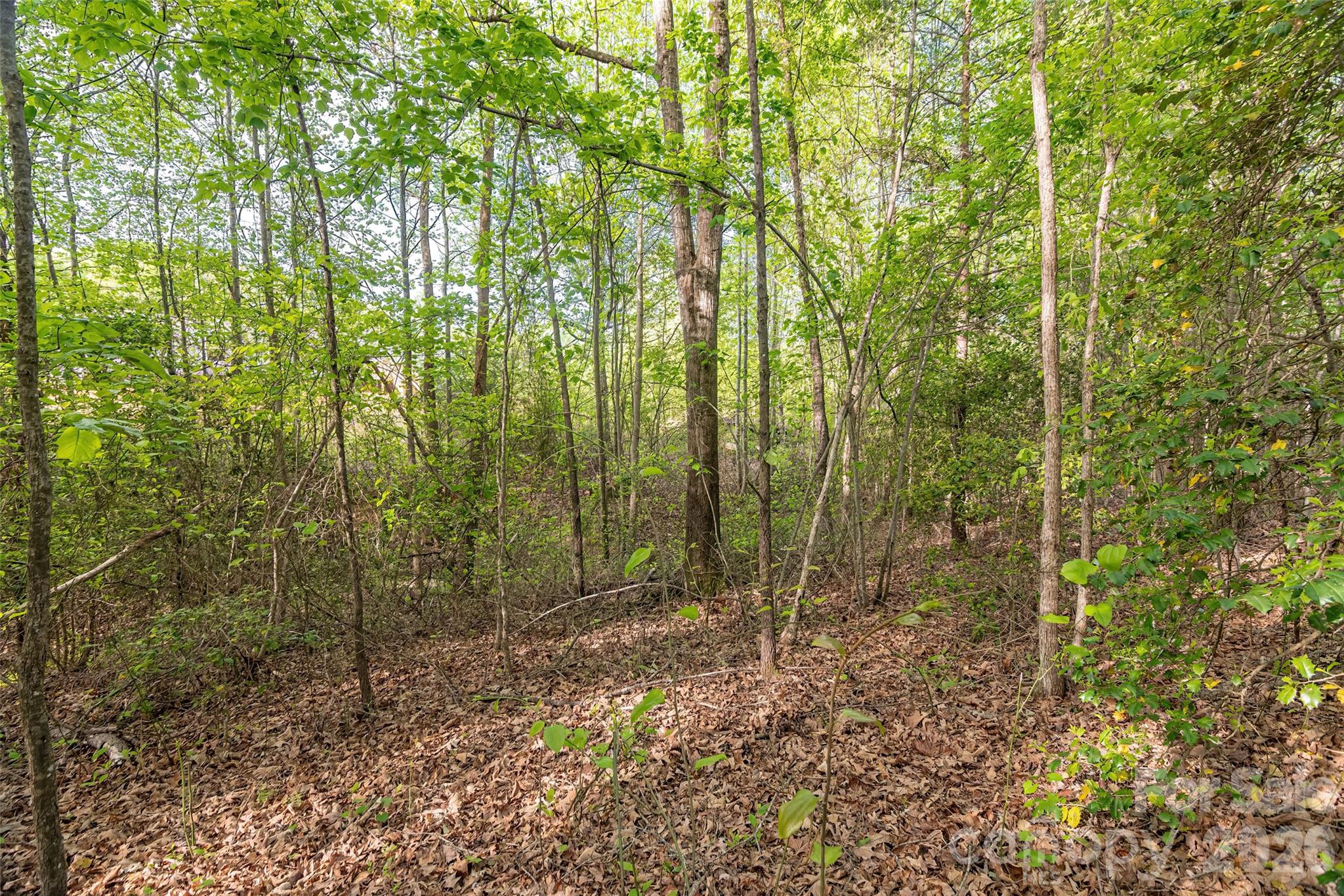 482 Jm Lovelace Road Ellenboro NC 28040