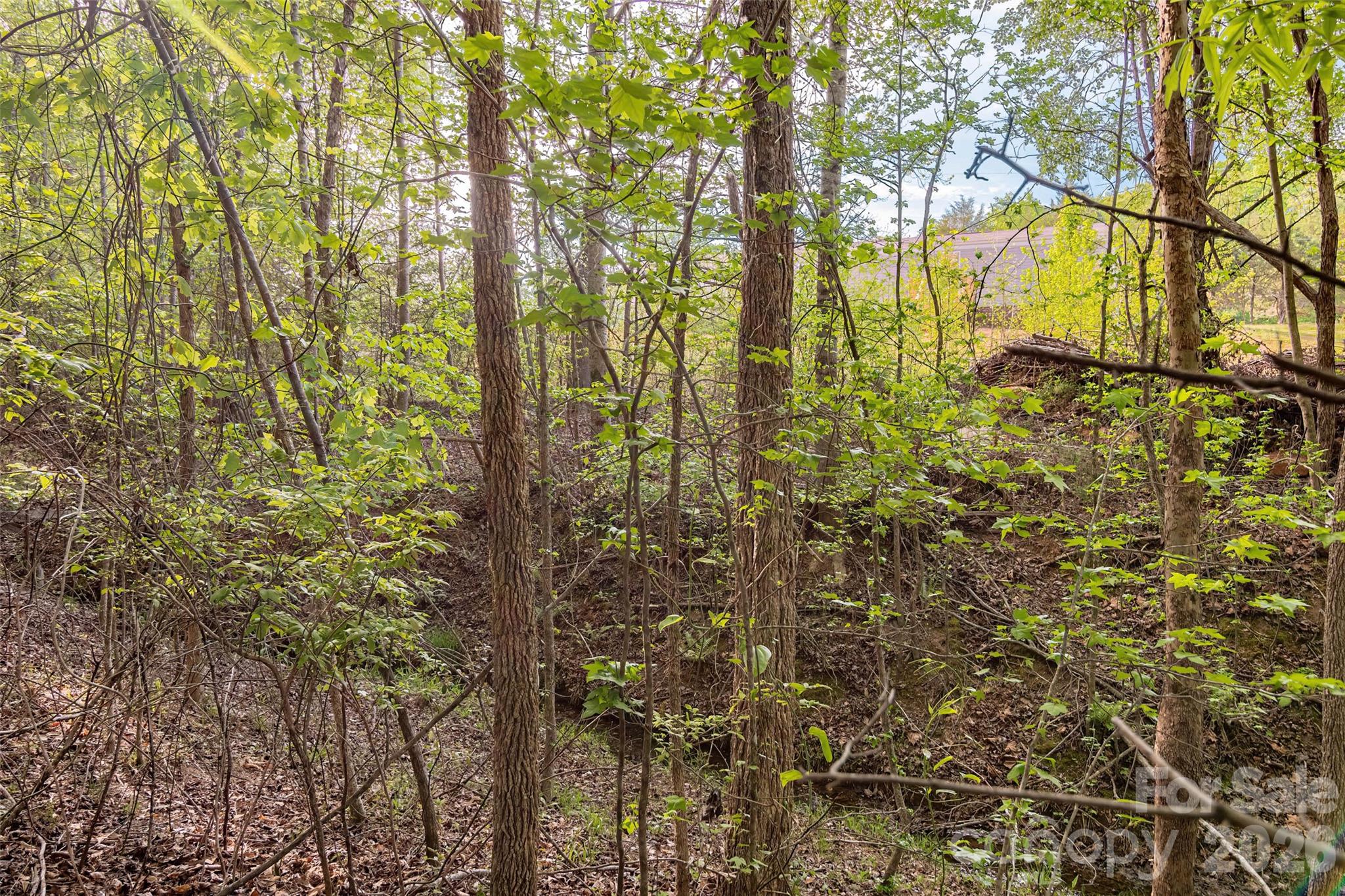 482 Jm Lovelace Road Ellenboro NC 28040