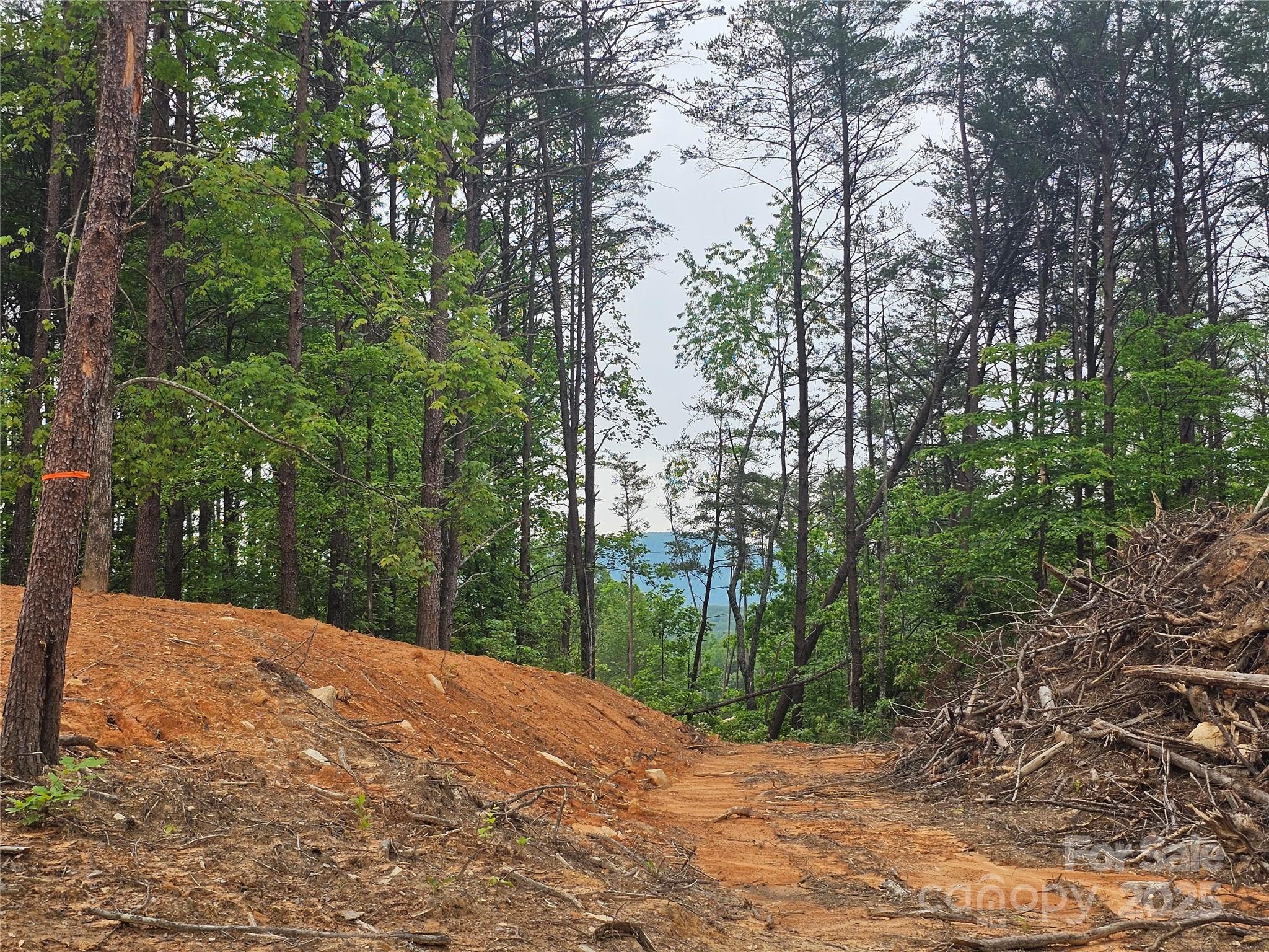 301 Mcginnis Drive Old Fort NC 28762