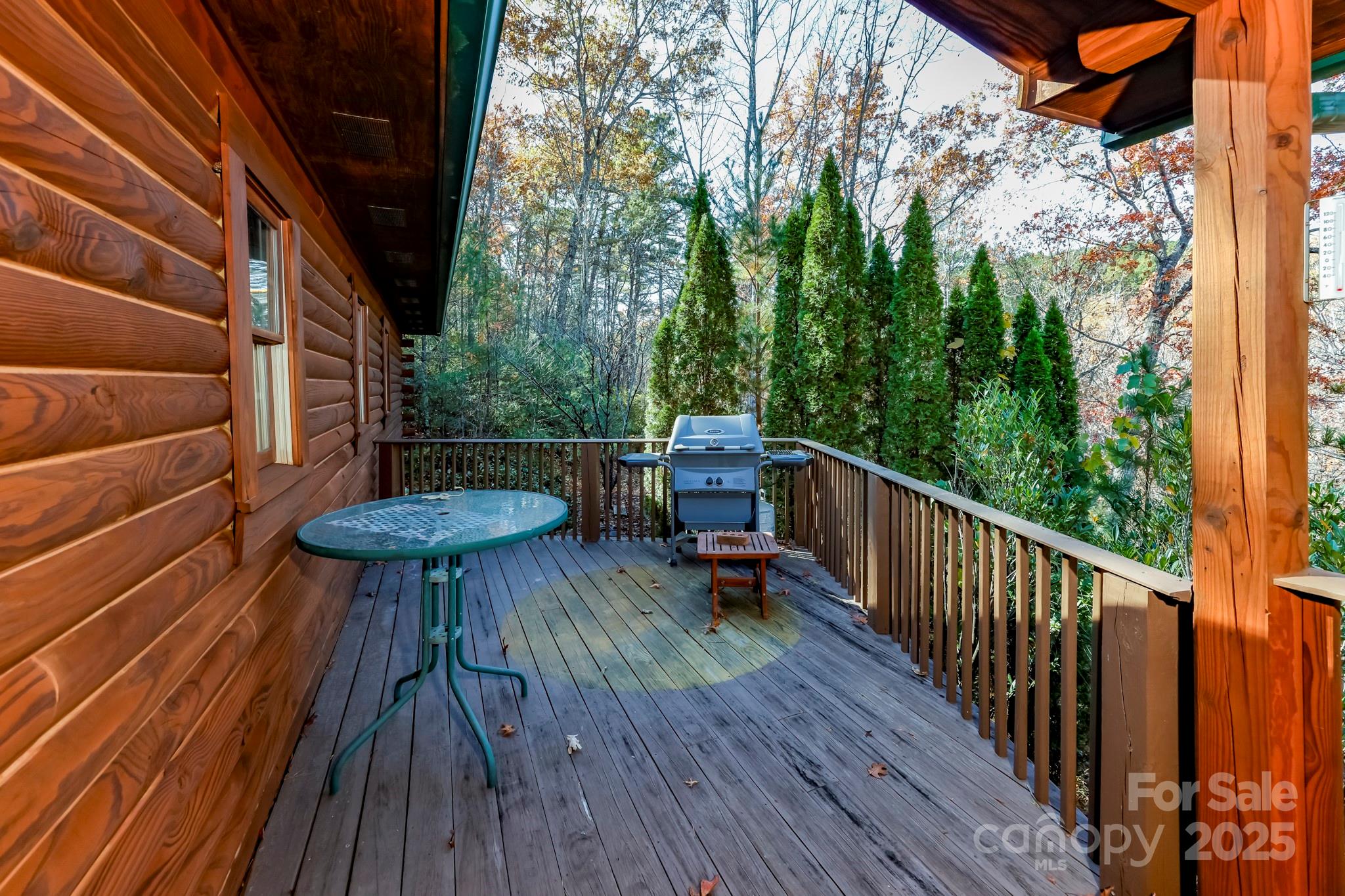 114 Birddog Boulevard Lake Lure NC 28746