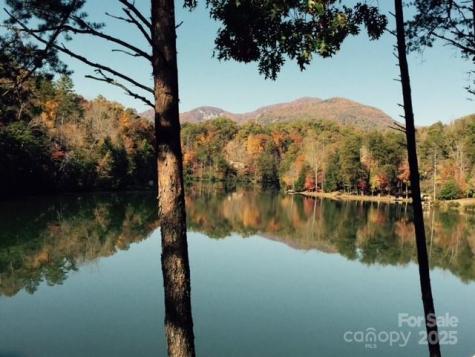 114 Birddog Boulevard Lake Lure NC 28746